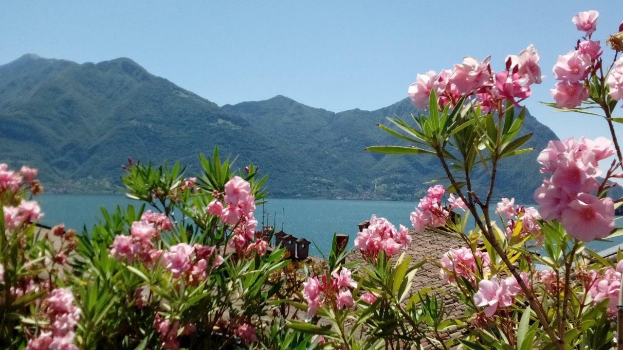 Casa Vacanze Da Graziella Lovere Eksteriør billede